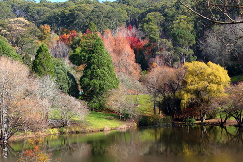 Fototapeta Naklejka Na Ścianę i Meble -  Mount Lofty Botanic Garden in Adelaide