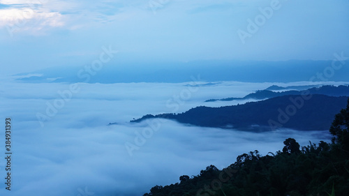 Mountains, trees and mist With abundant nature © mansong