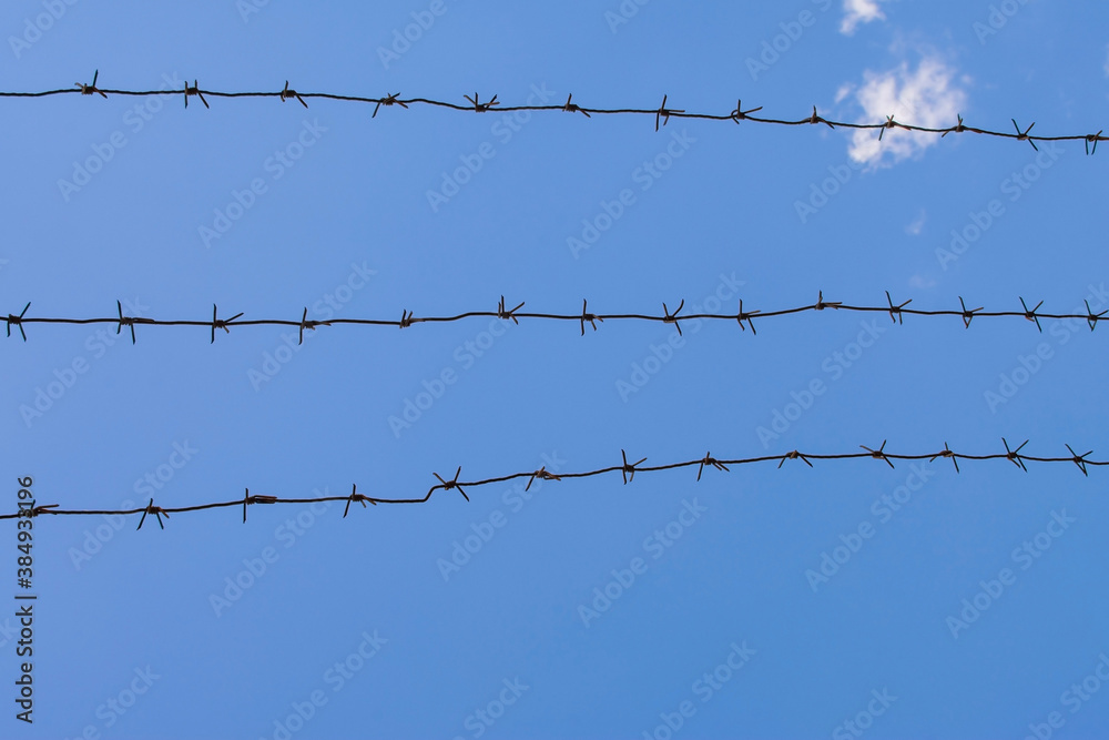 Barbed wire on background of blue sky and white clouds. Boundary, prison or immigration concept. Three barbwire lines. A barbed wire of the fenced territory. Secret object boundary, enclosed barrier. Barbed wire on background of blue sky and white clouds. Boundary, prison or immigration concept. Three barbwire lines. A barbed wire of the fenced territory. Secret object boundary, enclosed barrier.