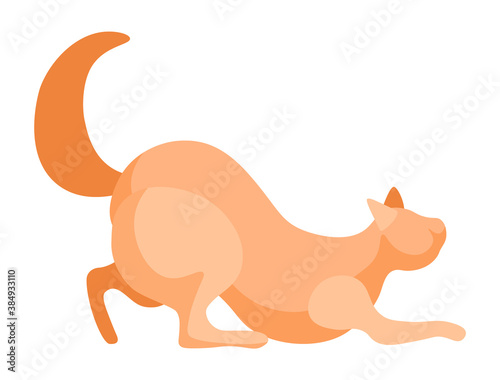 Brown cat with straight ears in playful pose isolated feline character in flat cartoon style. Vector illustration of domestic kitten purebred, adorable tabby with long hairy tail, pet shop emblem