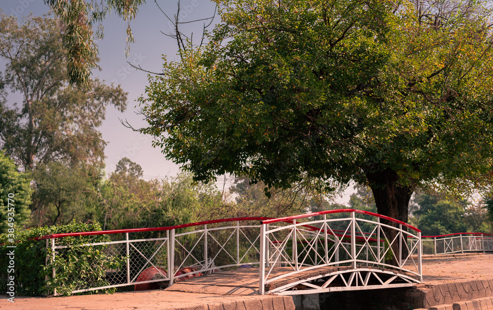 a bridge in park beside a lush green tree a bridge in park beside a lush green tree