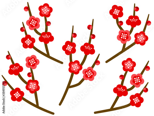 梅の枝のイラストセット