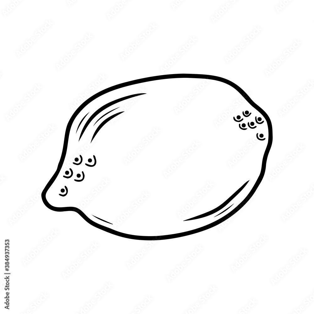 Hand drawn citrus fruit lemon isolated on a white background. Doodle, simple outline illustration. It can be used for decoration of textile, paper and other surfaces. Hand drawn citrus fruit lemon isolated on a white background. Doodle, simple outline illustration. It can be used for decoration of textile, paper and other surfaces.