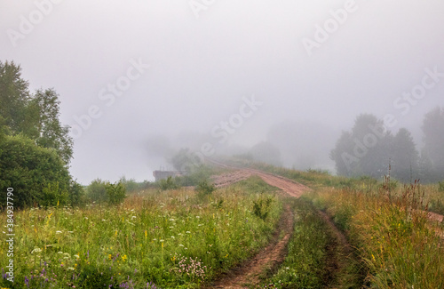 misty morning in the field