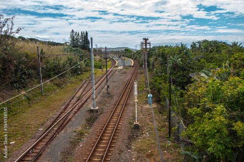 Railway Tracks Surrounded by Green Vegetation in Rural Setting