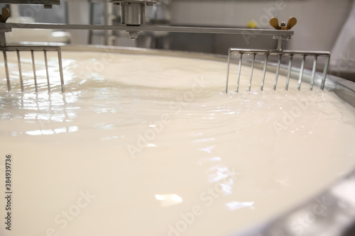 фотографія Milk in curd preparation tank at cheese factory, closeup
