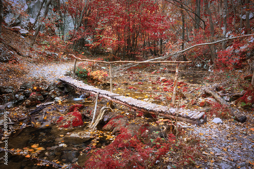 wooden bridge in Cheile Nerei photo