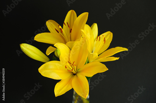 Beautiful bouquet of yellow lilies on black background