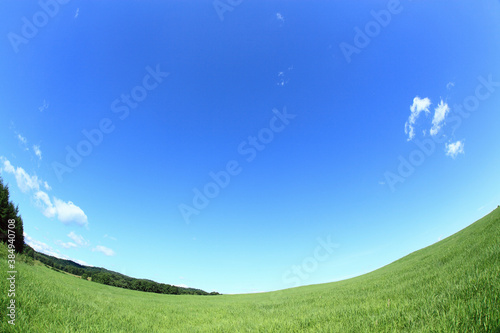 青空と草原 © Paylessimages