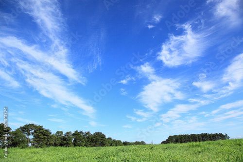 空模様と草原