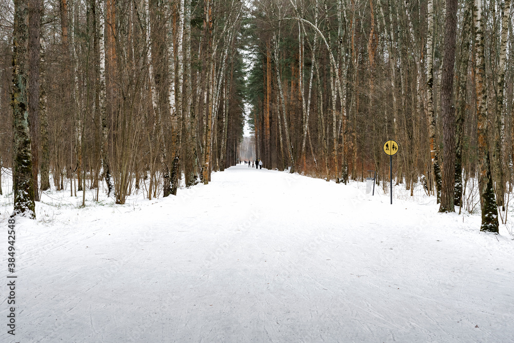 Naklejka premium the snow trail is divided into 2 parts, one for skiers and the other for pedestrians. separation road sign