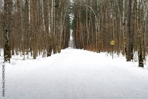 the snow trail is divided into 2 parts, one for skiers and the other for pedestrians. separation road sign