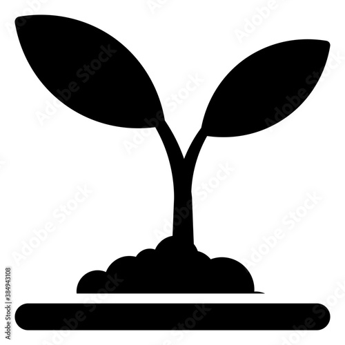 Seedling 