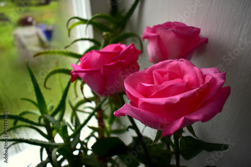 bouquet of roses