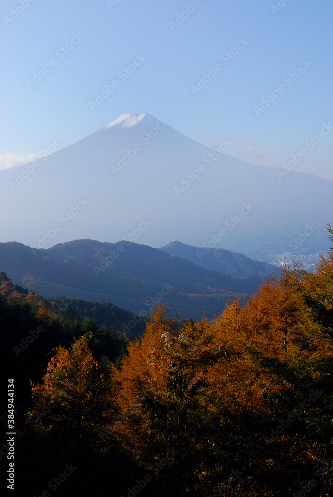 Fototapeta premium 富士と紅葉