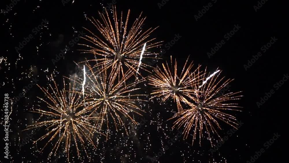 fireworks in the night sky fireworks in the night sky