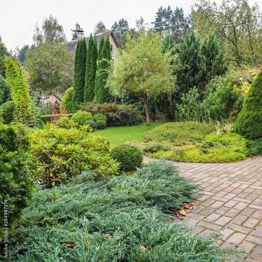 Landscaping of a garden with a bright green lawn, colorful shrubs, decorative evergreen plants and shaped boxwood (Buxus Sempervirens) in autumn. Gardening concept. Landscaping of a garden with a bright green lawn, colorful shrubs, decorative evergreen plants and shaped boxwood (Buxus Sempervirens) in autumn. Gardening concept.