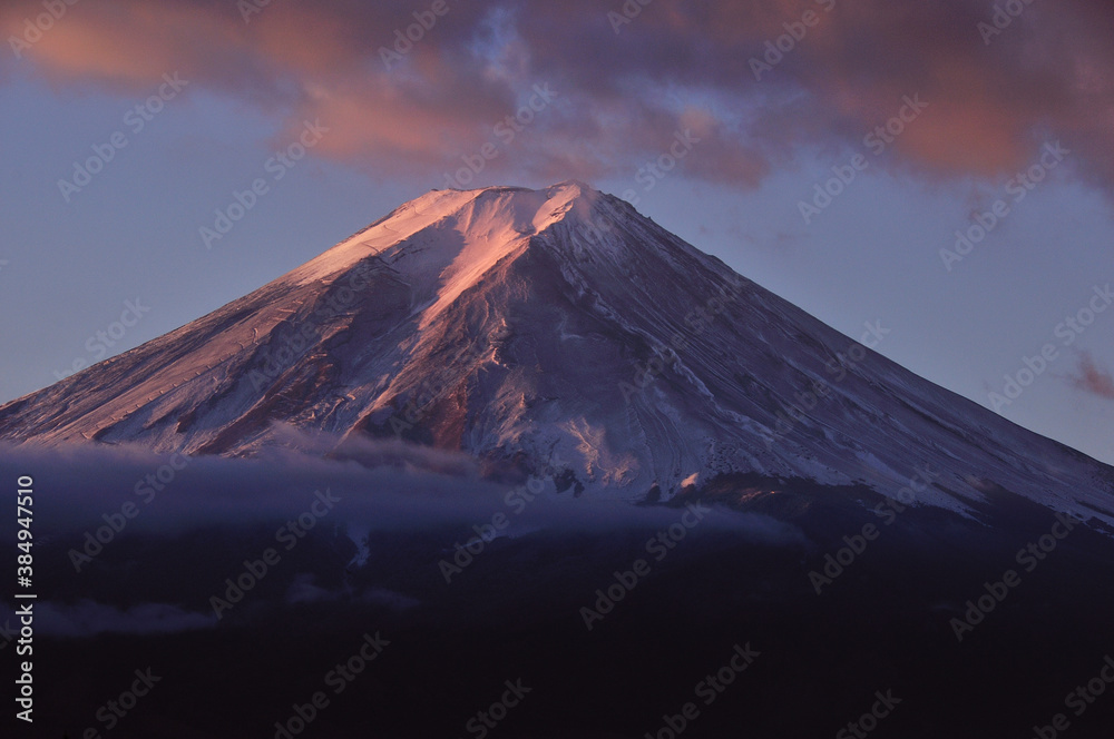 Fototapeta premium 富士山