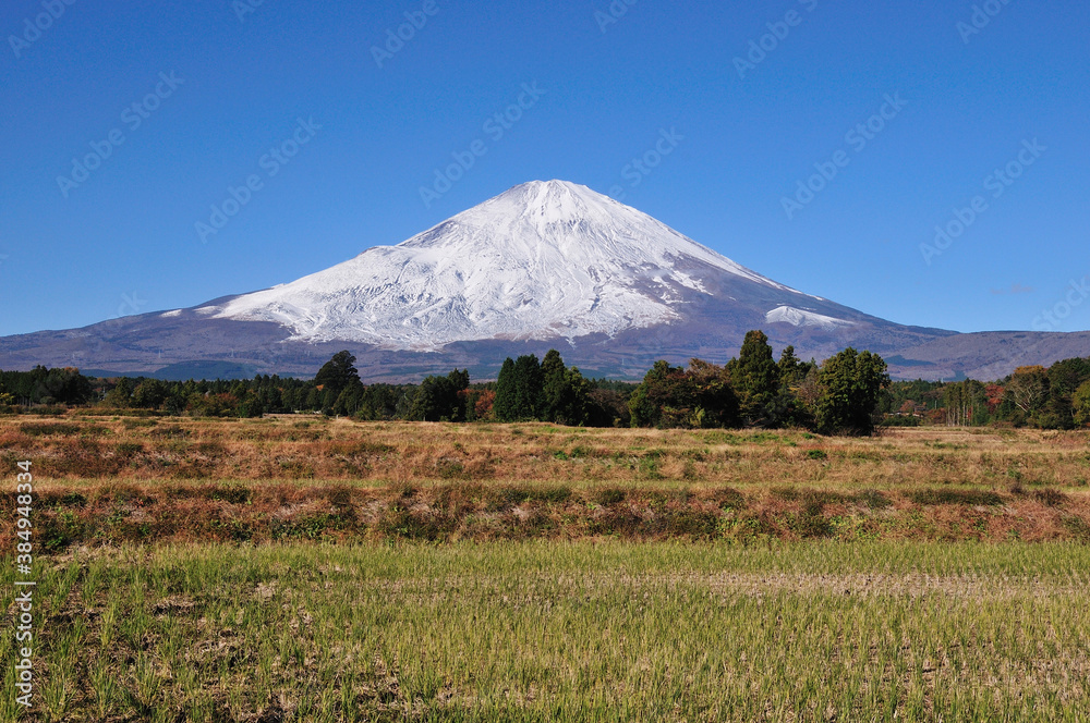 富士山 富士山