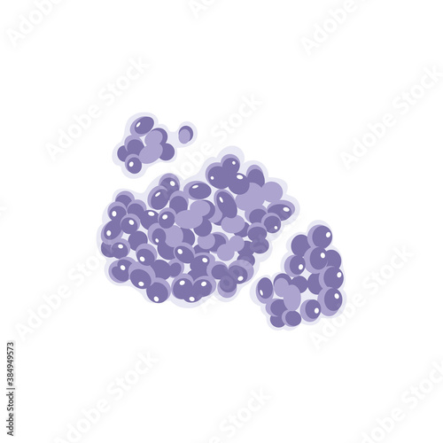Microscopic accumulation of microorganisms. Bacteria, microbe, germ, virus, fungi, epidemic pathogenic cells, disease causing objects vector illustration isolated on white background