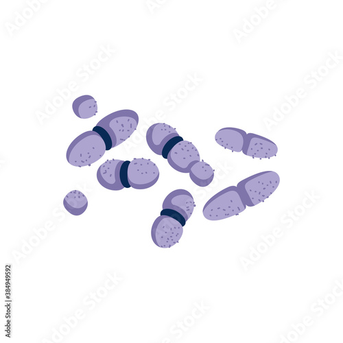 Diplobacillus or staphylococcus bacterial microorganisms. Microscopic spherical rod-shaped bacteria, medical healthcare concept vector illustration isolated on white background