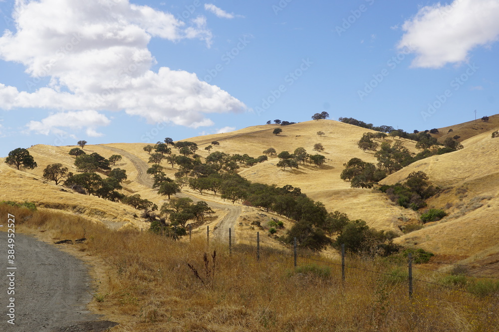Panorama with hills and trees, USA Panorama with hills and trees, USA