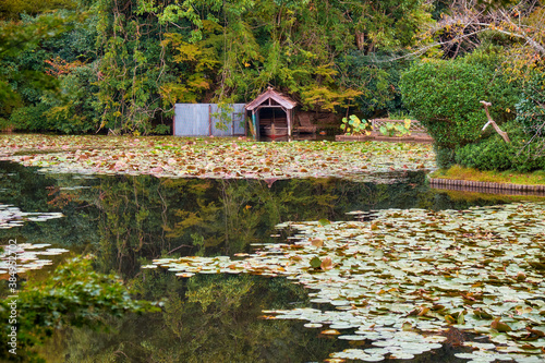 Kyoyochi Pond – the water garden of the Ryoan-ji temple. Kyoto.Japan photo