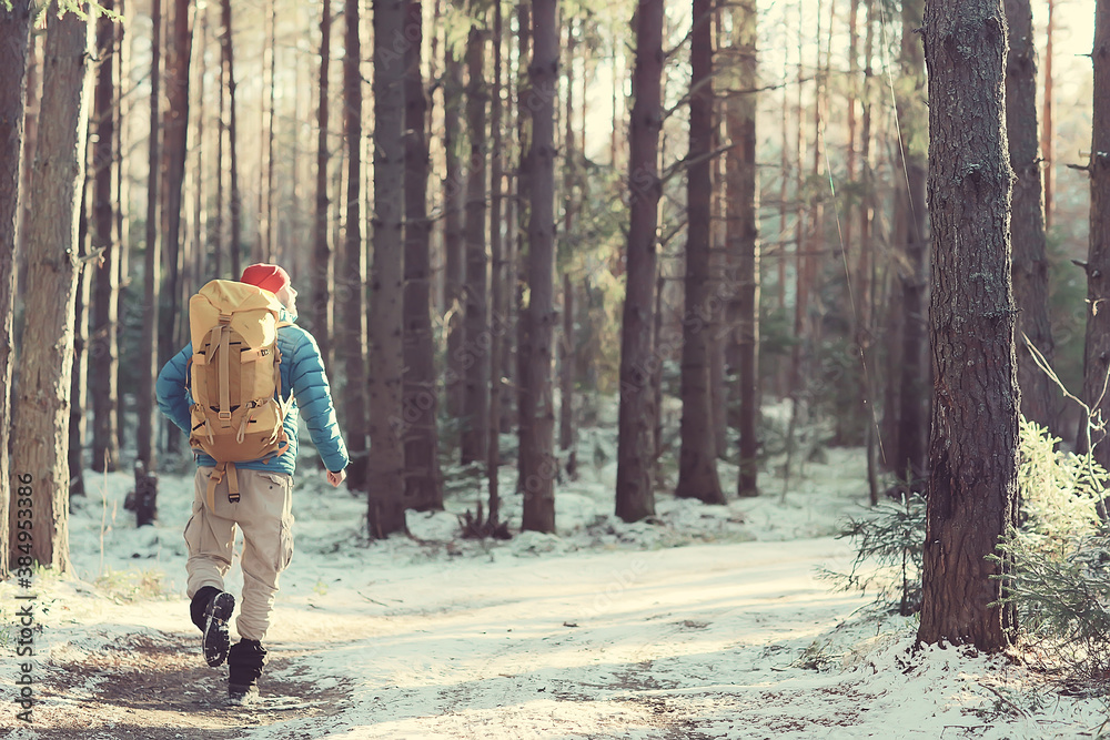 Fototapeta premium tourist in the winter forest / the guy travels against the backdrop of a winter landscape with forest, snow and trees