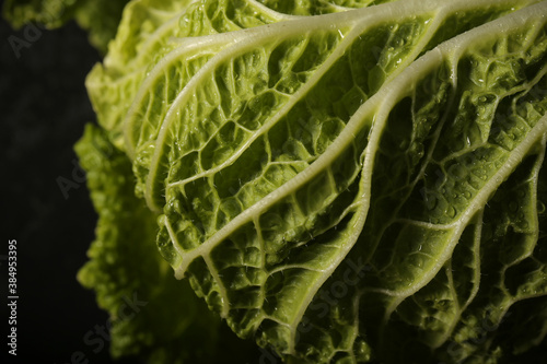 Peking cabbage close up on a black background