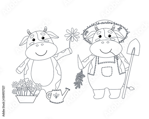 Vector cute linear cow or bull. Symbol of year 2021. Two calves, farm and garden concept. Coloring page for kids, isolated on white background