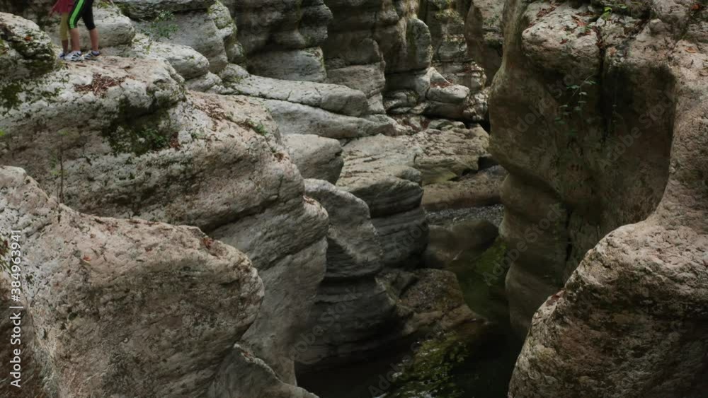 A picturesque mountain river among the rocks. The river flows fast among stones and plants and creates foam. The rapid flow of river in the forest. Picturesque landscape. A picturesque mountain river among the rocks. The river flows fast among stones and plants and creates foam. The rapid flow of river in the forest. Picturesque landscape.