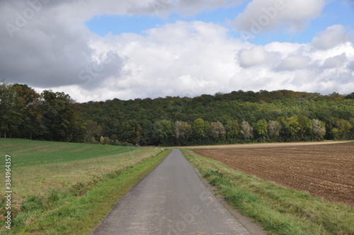 an empty countryside road near Wurzburg  Franconia  Bavaria  Germany