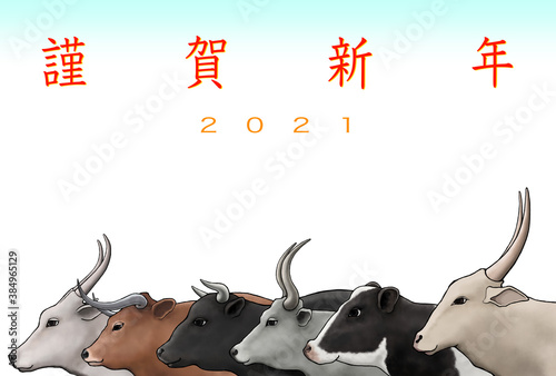 2021年 年賀状 丑年 牛の群れ