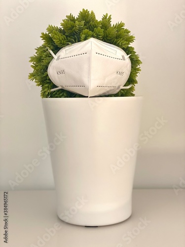 Mascarilla planeta Covid virus planta photo
