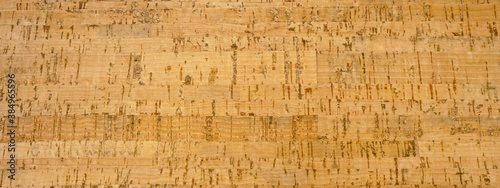 Brown bright light wooden wood cork floor texture background banner