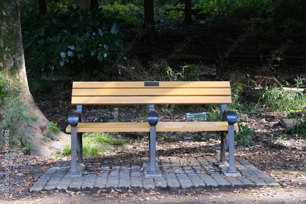 park bench with trees in background park bench with trees in background