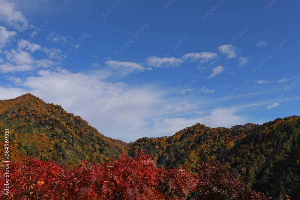 秋の山の風景