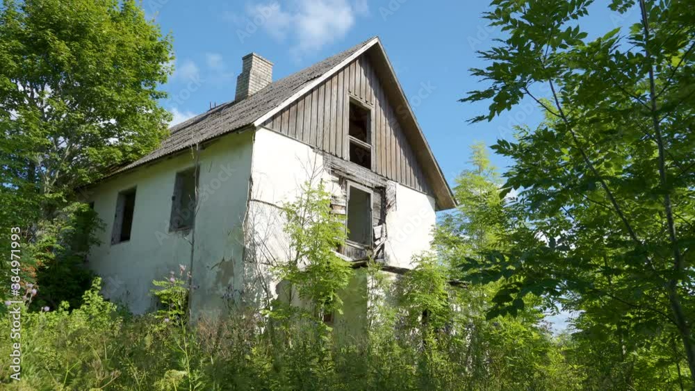 Lots of plants and trees around the abandoned house in Estonia Lots of plants and trees around the abandoned house in Estonia