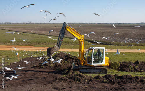 A crane with backhoe is removing grass and topsoil from a dike. Gulls are having a feast and surround the machine. 