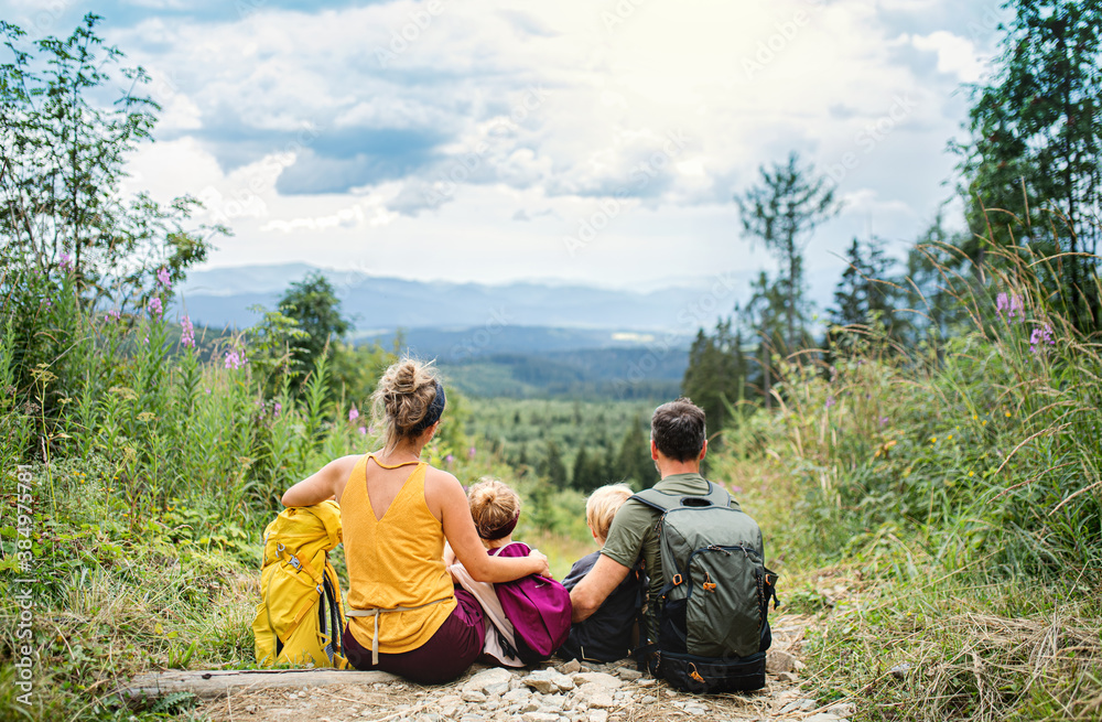 Rear view of family with small children hiking outdoors in summer nature, resting. Rear view of family with small children hiking outdoors in summer nature, resting.