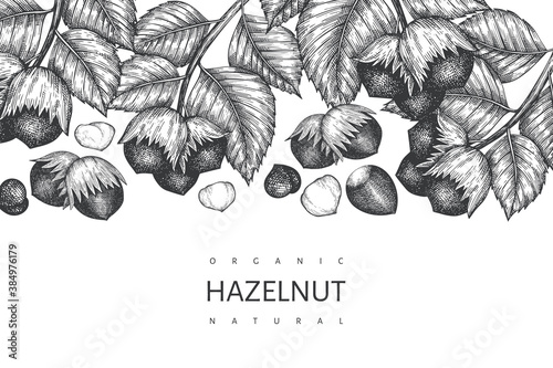 Hand drawn sketch hazelnut design template. Organic food vector illustration on white background. Vintage nut illustration. Engraved style botanical background.