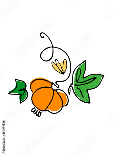 Thanksgiving Day design element. Hand drawn vector illustration of pumpkins and leaves. Isolated on white