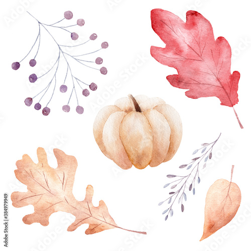 Hand drawn watercolor fall leaves, pumpkin and berries isolated on white background. Autumn clipart.