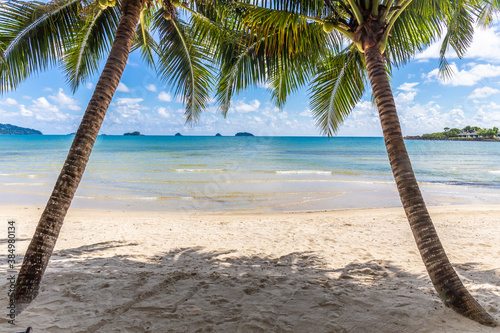 A beautiful beach with coconut trees in front of the sea and sky in the background at Koh Chang, Thailand. Copy space background