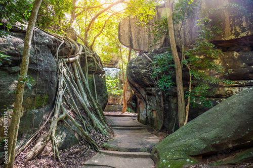 A path through a large rock in a deep forest in the middle of the mountain. photo