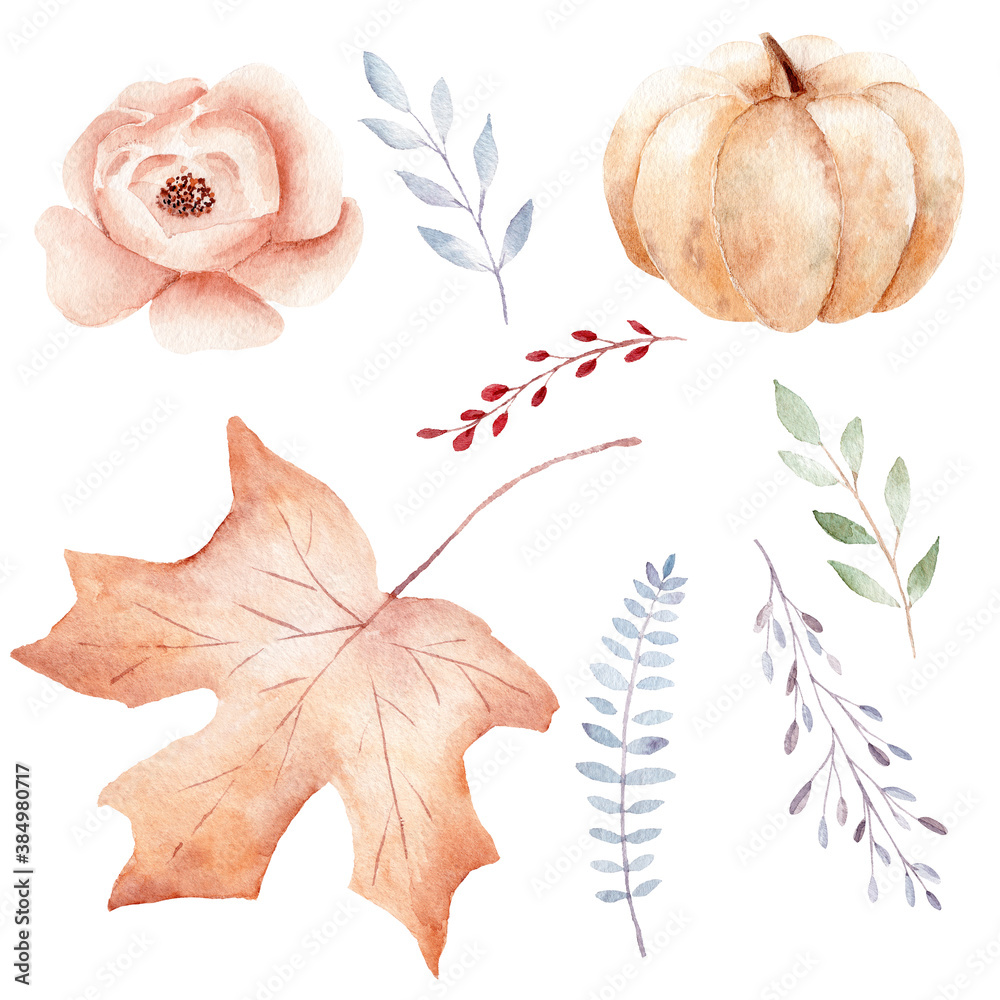 Hand painted fall and greenery leaves, pumpkin, flower. Watercolor clipart set. Graphic illustration.
