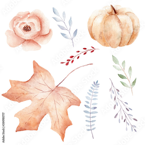 Obraz na płótnie Hand painted fall and greenery leaves, pumpkin, flower. Watercolor clipart set. Graphic illustration. w salonie