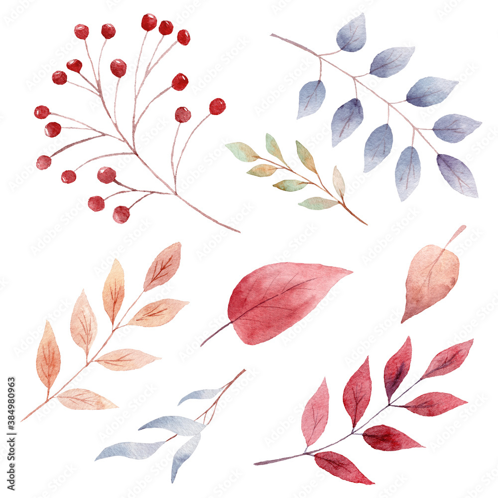 Hand painted watercolor fall leaves and berries. Autumn clipart. Graphics for thanksgiving card, invitations.