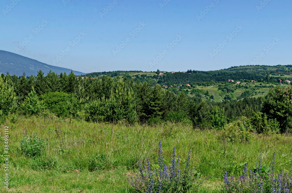 Summer panoramic view of the neighborhoods of the village of Plana in the mountain Plana, Bulgaria  
