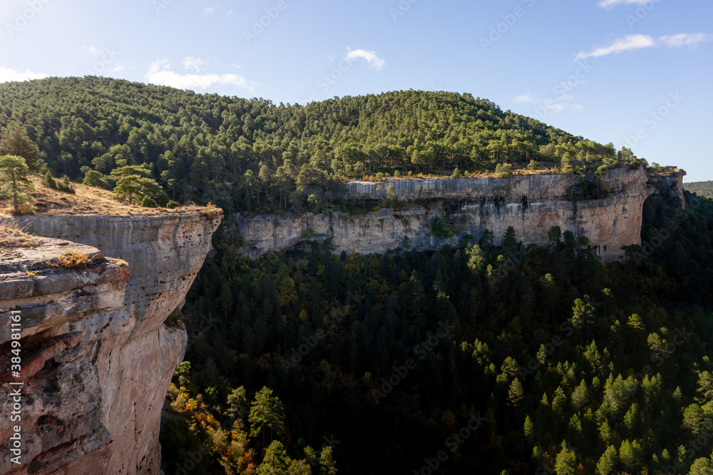 natural landscape of pine trees and rocks natural landscape of pine trees and rocks